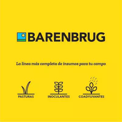Barenbrug | Make life beautiful | www.barenbrug.com.ar