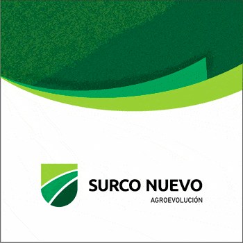 SURCO NUEVO  | Consultora Agropecuaria